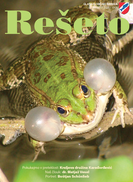 reseto avgust 2025