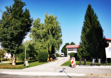 ZD Ribnica